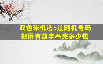 双色球机选5注随机号码 把所有数字串完多少钱